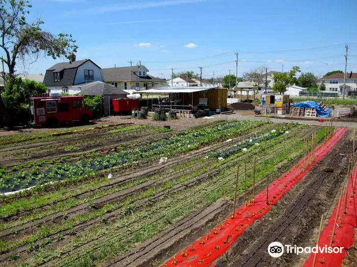 Edgemere Farm