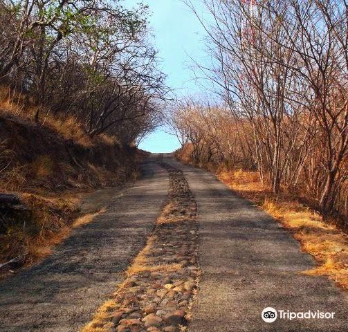 CocoBoat experiences