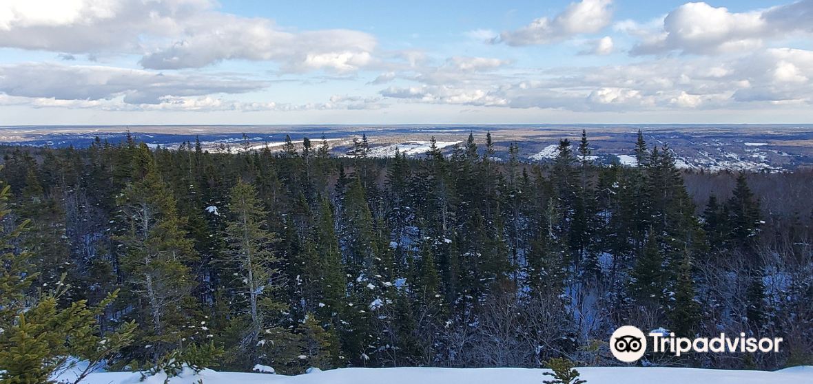 Things to Do in Blacketts Lake in 2024 Top Attractions, Local Food