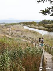 Réserve naturelle Il Padule Di Scarlino