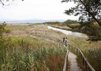 Réserve naturelle Il Padule Di Scarlino