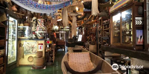 Amerindia - Arte Indigena Brasileira