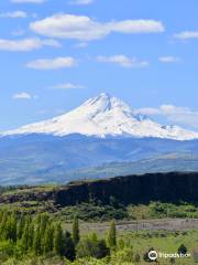 Columbia Hills Historical State Park