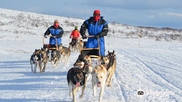 Norway Husky Adventure AS