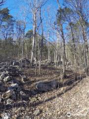 Wade Mountain Nature Preserve