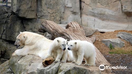 Bremerhaven Zoo