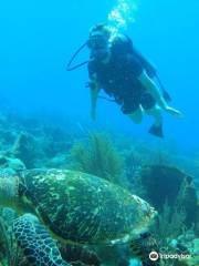 G Fish Watersports Barbados