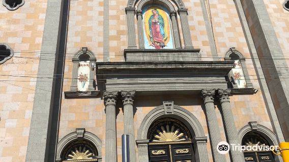 Catedral de Nuestra Senora de Guadalupe