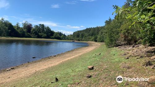 Tottiford Reservoir