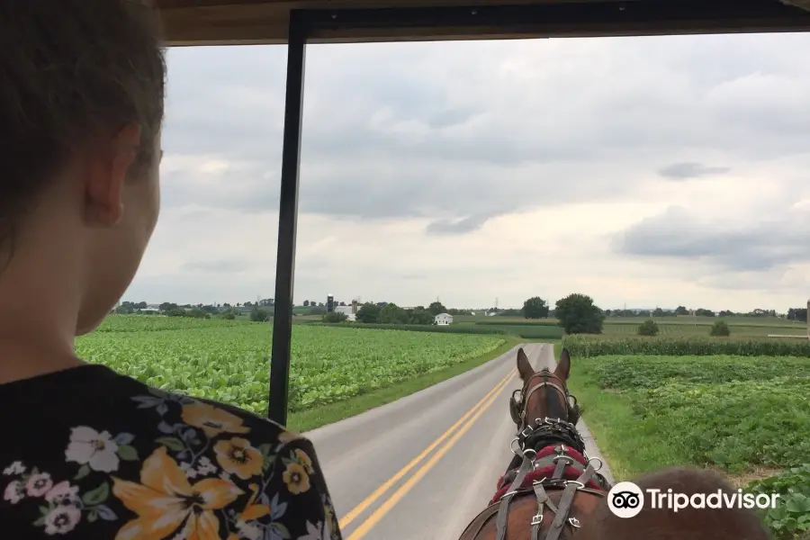 Amish Country Wagon Rides