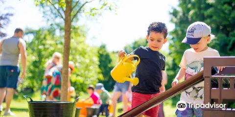 Museum of English Rural Life