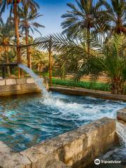 Al-Ahsa Oasis,