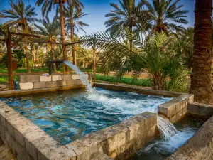 Al-Ahsa Oasis,