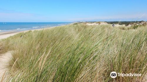 Dune du Perroquet