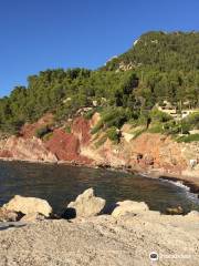 Port De Valldemossa