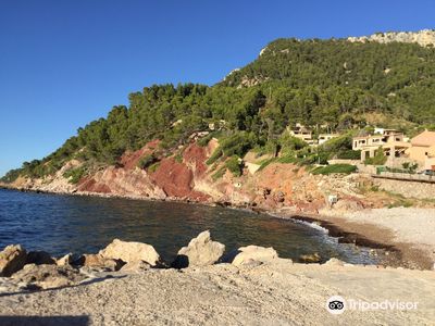 Port De Valldemossa