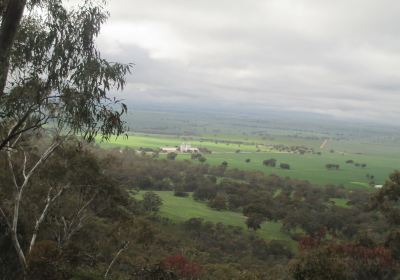 Mt Remarkable Summit Trail