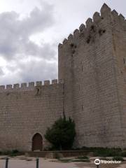 Castillo de Monzon de Campos