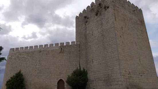 Castillo de Monzon de Campos