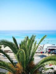 Spiaggia di Montedarena