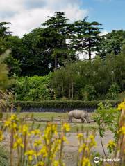 Zoo de Dublin