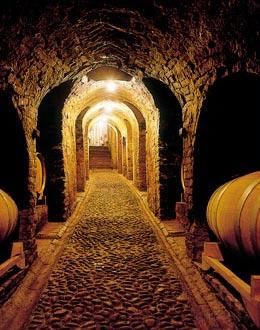 Cantina del Glicine