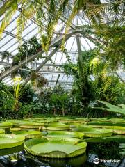 Plantentuin / Jardin Botanique