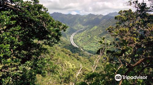 ʻAiea Loop Trailhead