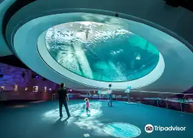 Phillip & Patricia Frost Museum of Science