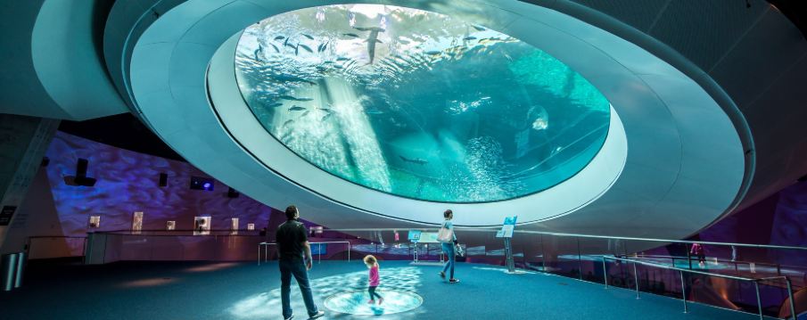 Phillip & Patricia Frost Museum of Science