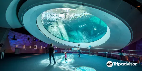 帕特里夏和菲利普·弗羅斯特科學博物館