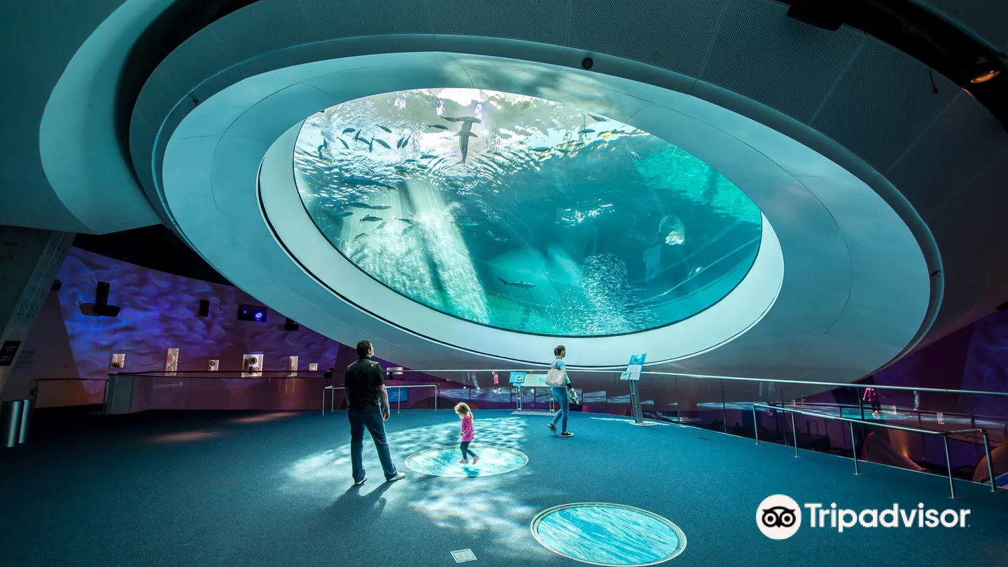 1_Phillip & Patricia Frost Museum of Science