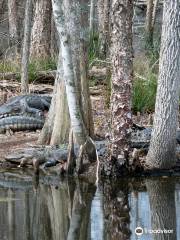 Santee National Wildlife Refuge