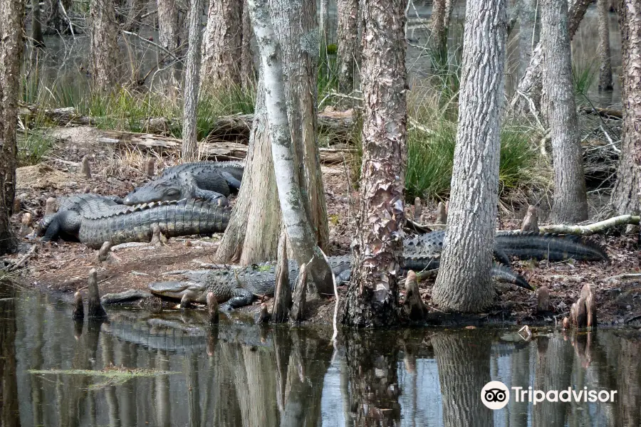 Santee National Wildlife Refuge