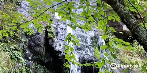 Hen Wallow Water Falls