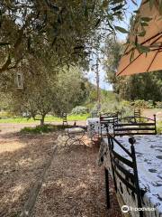 Owl's Rest - Olive and Lavender Farm