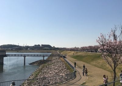 Sayamaike Park