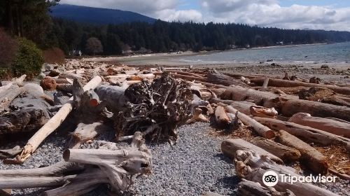 Roberts Creek Pier