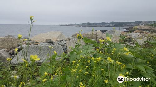 Rockport Breakwater