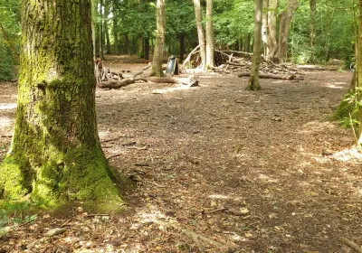 Leigh Woods National Nature Reserve