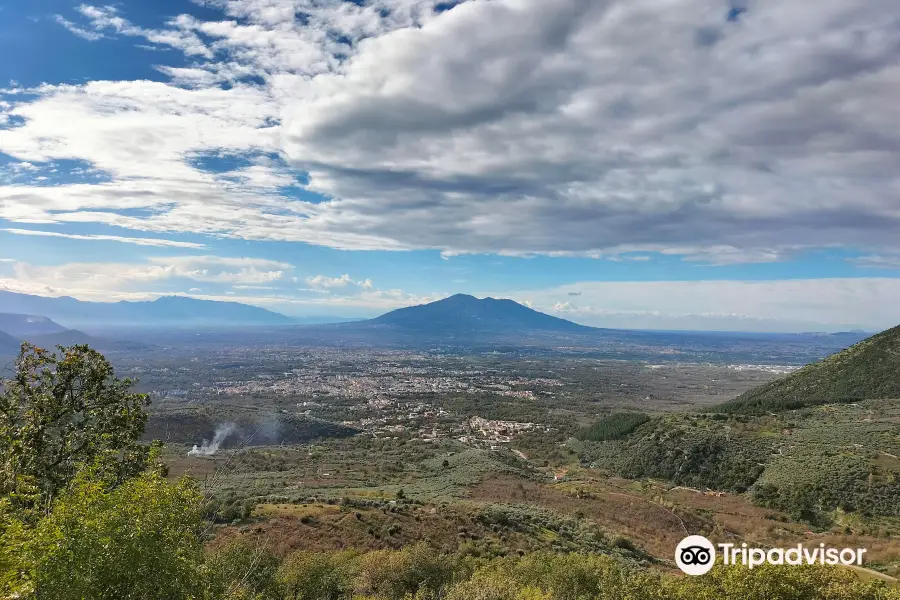 Foresta Regionale di Roccarainola