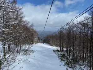 Grandee Hatoriko Ski Resort