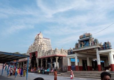 Thiruchendur Murugan Temple