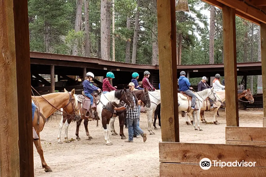 Blue Bell Stables