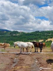 Centro Ippico "I Cavalieri di Bianca Lancia"