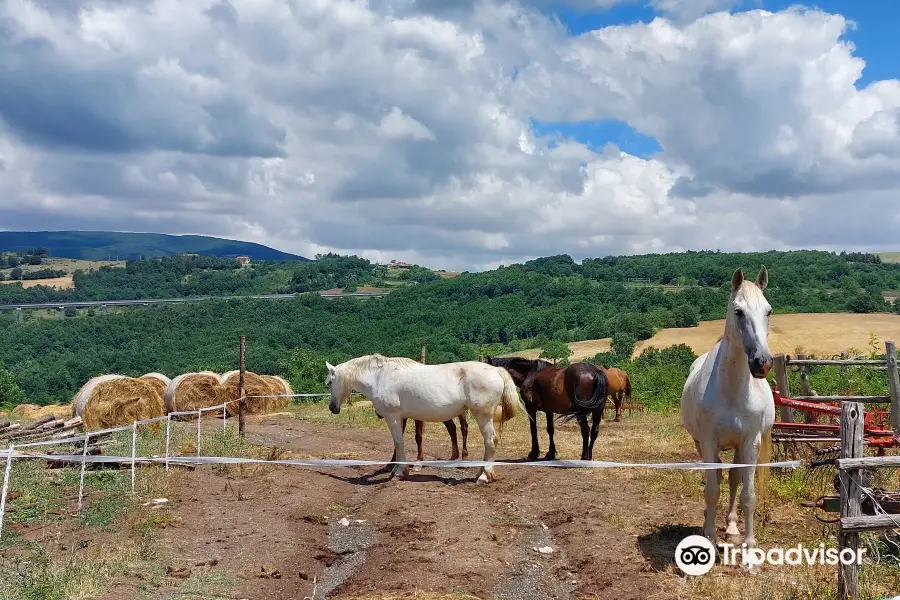 Centro Ippico Cavalieri di Bianca Lancia