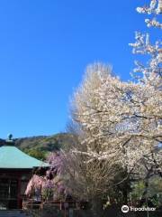 Emmei-ji Temple