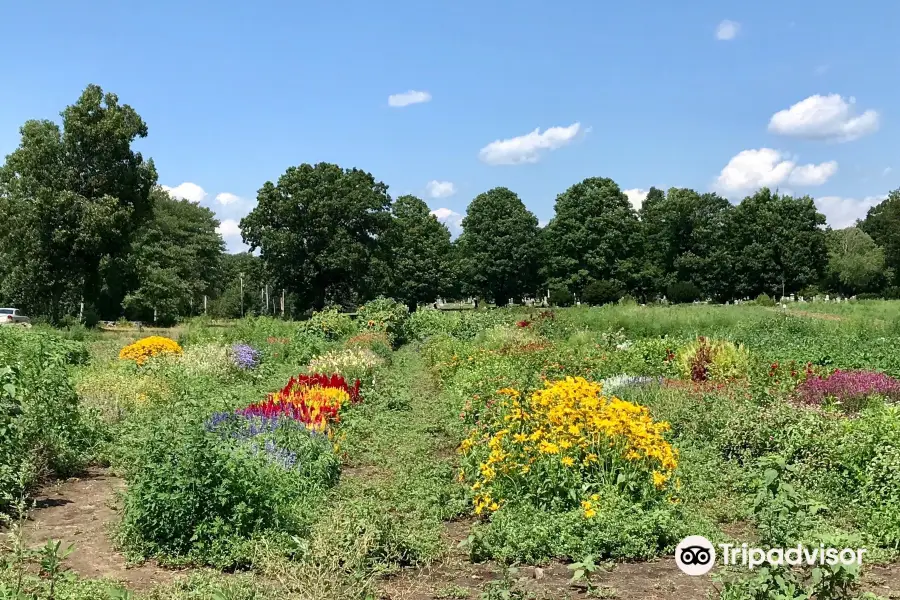 Cordelia's Farm (Indian Head Farm)