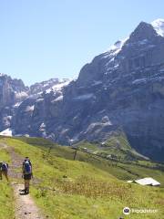 Grindelwald Japanese Information Bureau