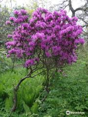 Jardin botanique forestier de Charlottenlund